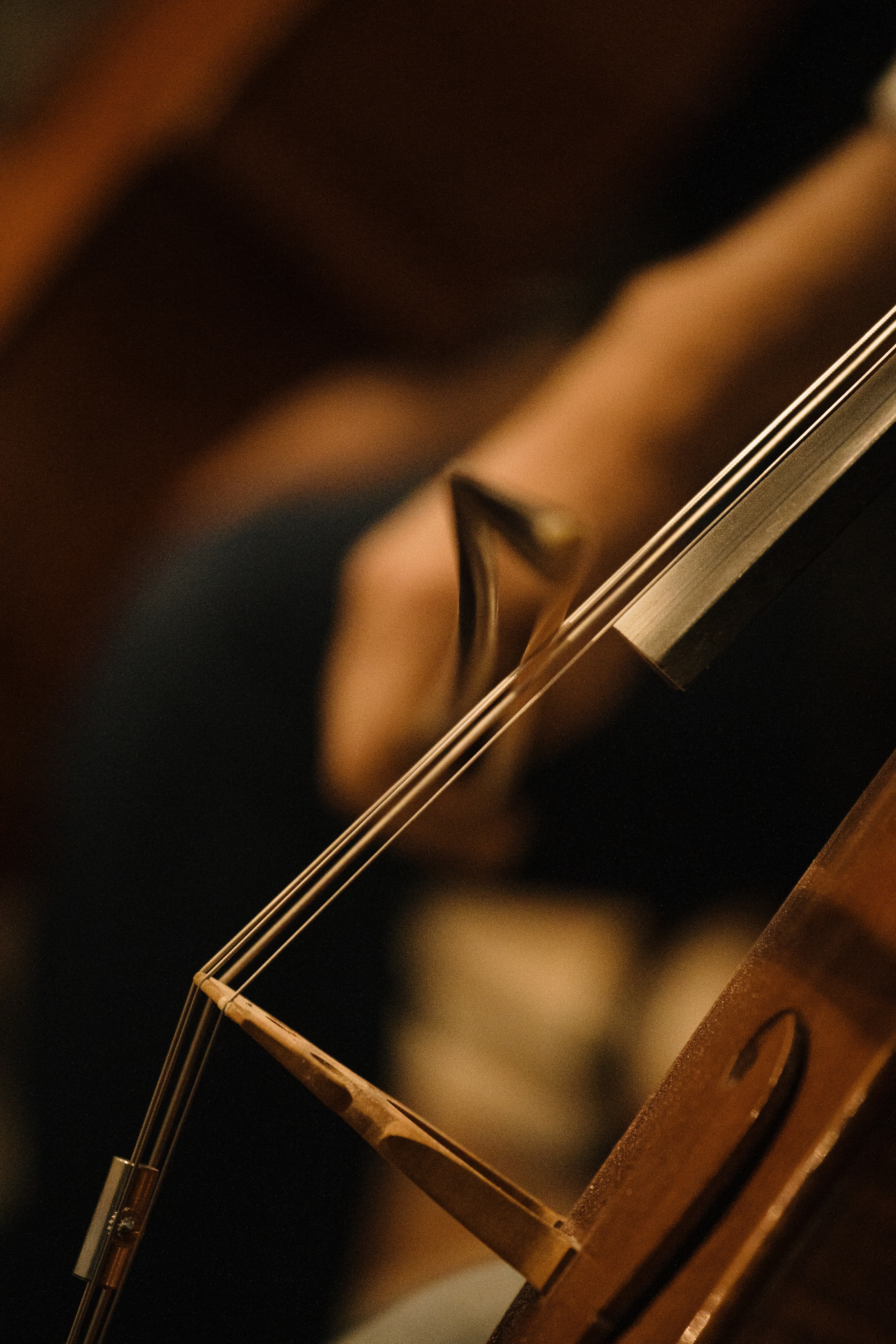 Image for the story Linda